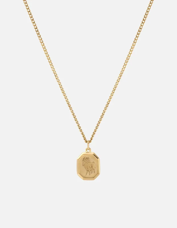 Women’s chunky necklace-Zodiac Nyle Necklace, Gold Vermeil