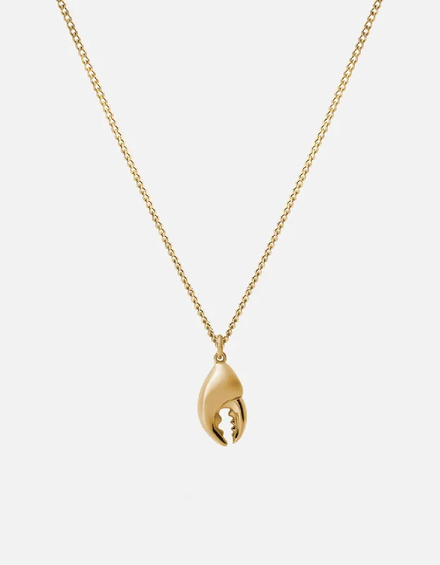 Women’s sparkling necklace-Lobster Claw Necklace, Gold Vermeil